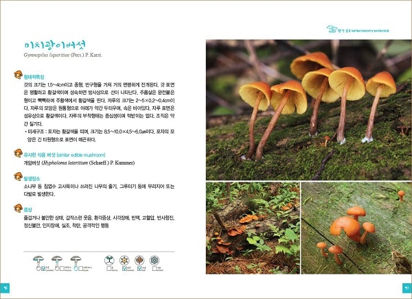 국립수목원에서 제작한 ‘독버섯 바로알기’ 도감(산림청 국립수목원 제공)
