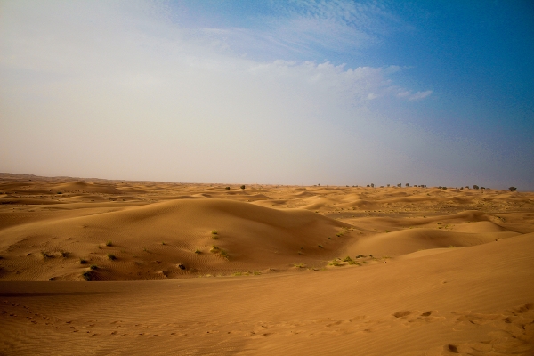 아랍 에미레이트, 두바이 근처 사막. ©김찬희 기자