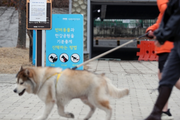 지난 2월 서울 영등포구 한강시민공원에서 한 시민이 반려견과 산책하고 있다. 사진제휴=뉴스1