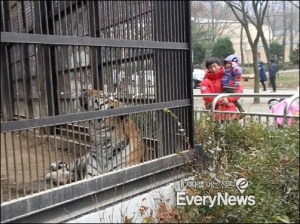 정부, 제2의 서울대공원 참사 막는다