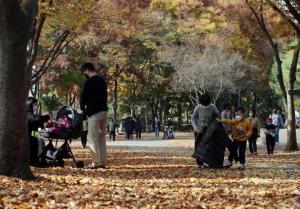 서울대공원 수용가능인원 늘린다…최대 4만8000명