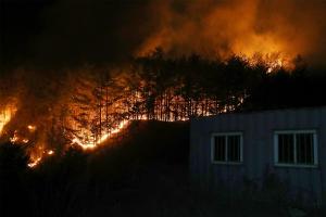 울진·삼척 산불 ‘특별재난지역 선포’…강릉·동해도 추진