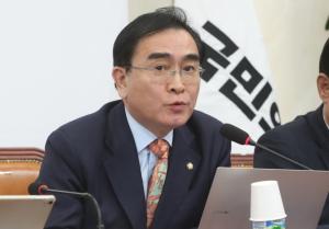 태영호, 민주당에 “쓰레기·돈·성”…윤리위 가능성